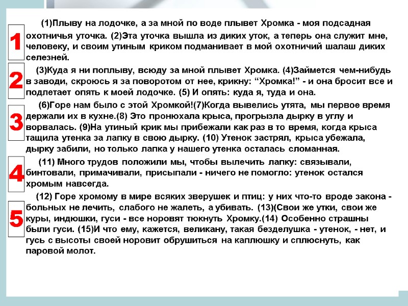 (1)Плыву на лодочке, а за мной по воде плывет Хромка - моя подсадная охотничья